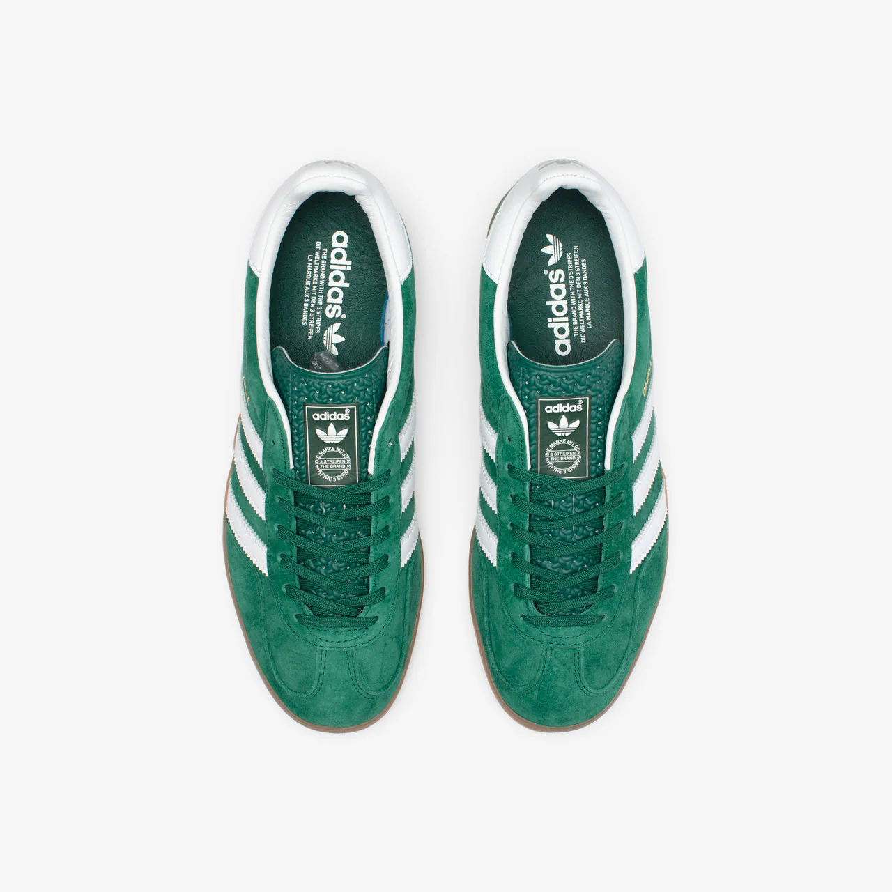 Gazelle Indoor - Image 9
