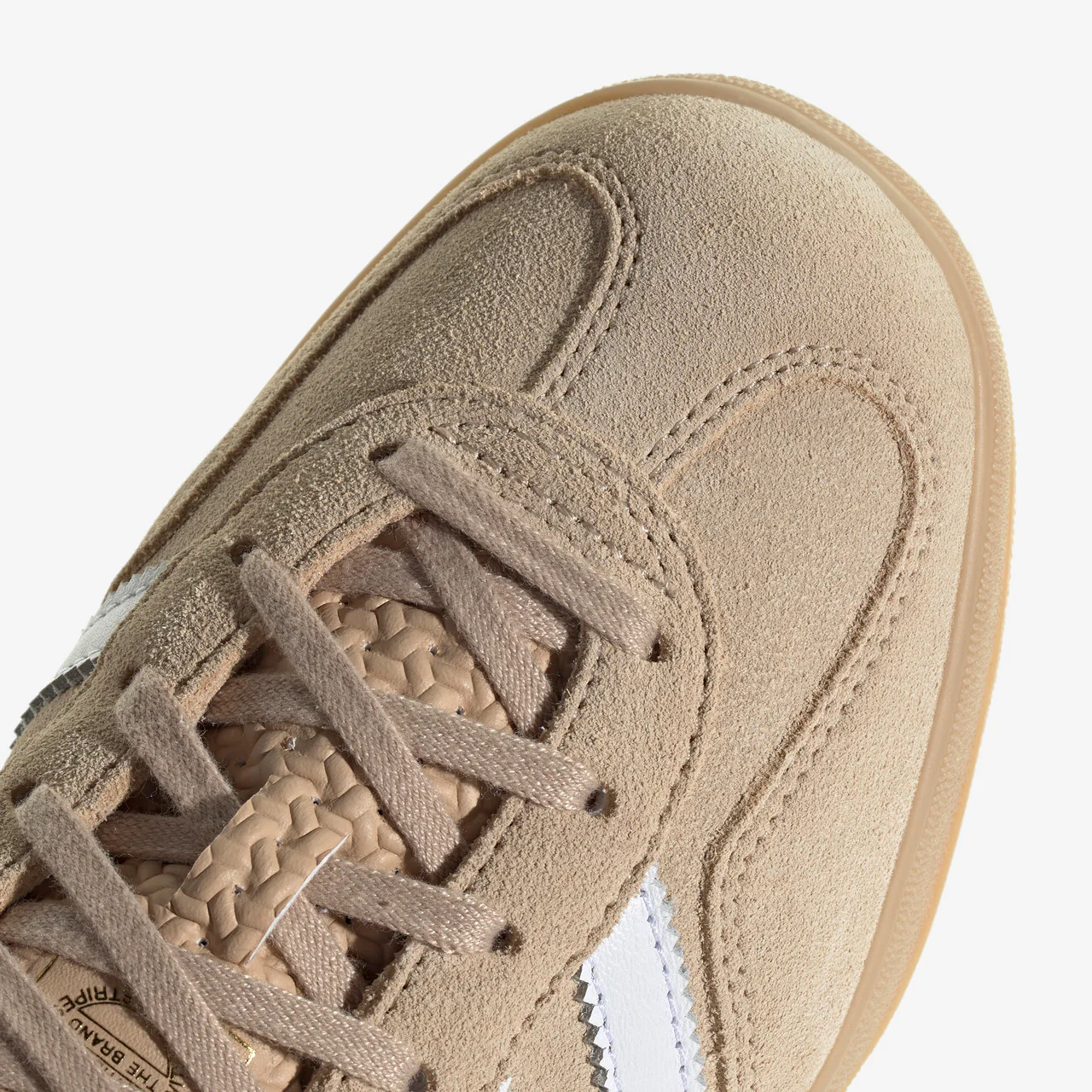 Gazelle Indoor - Image 7