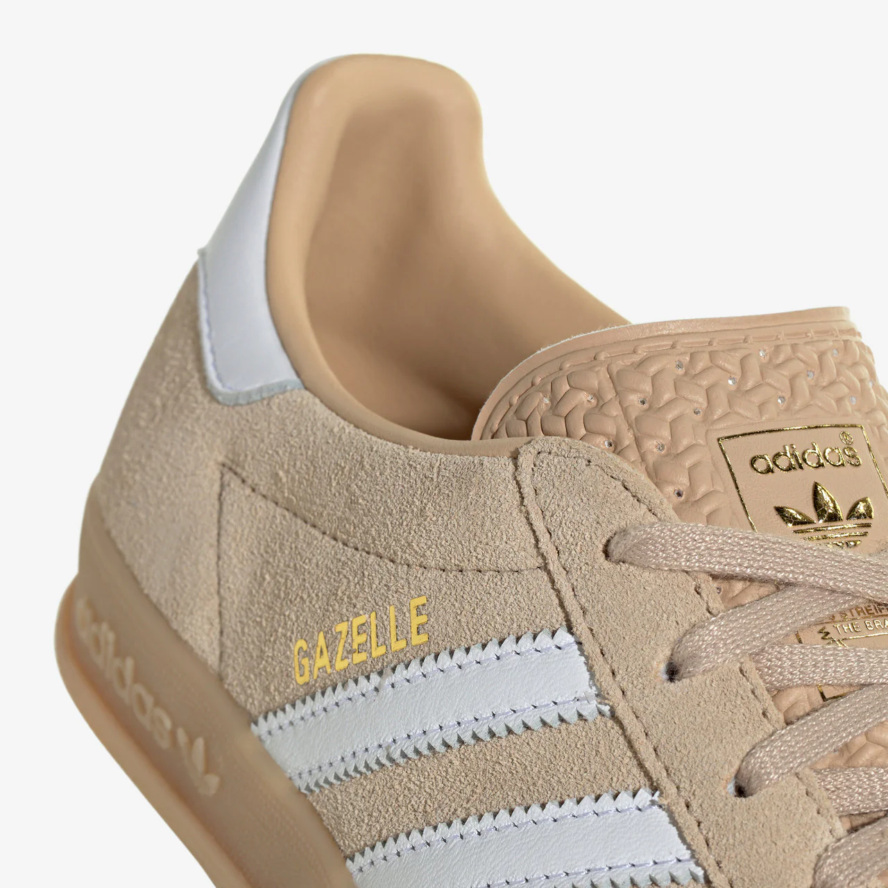 Gazelle Indoor - Image 8