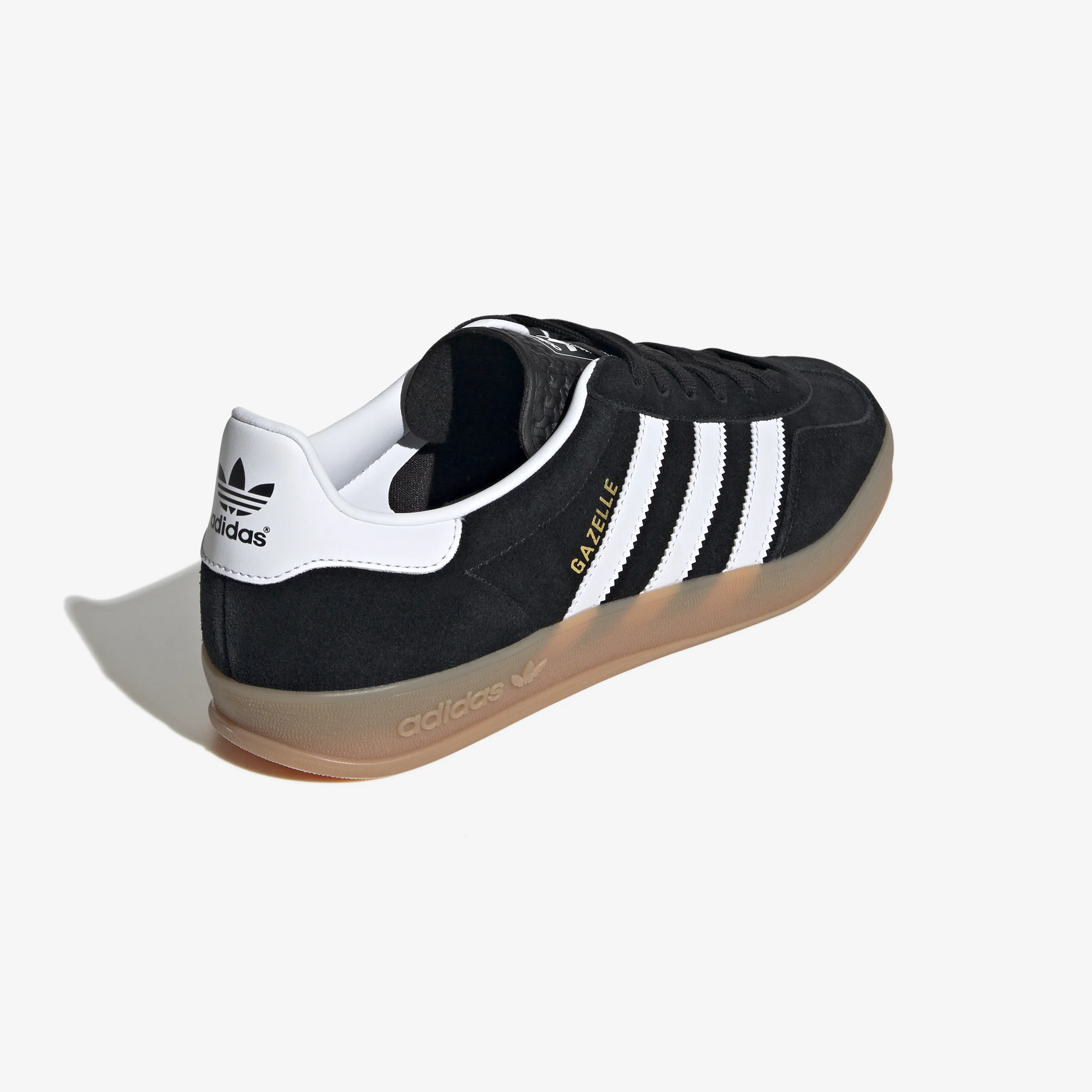 Gazelle Indoor - Image 4