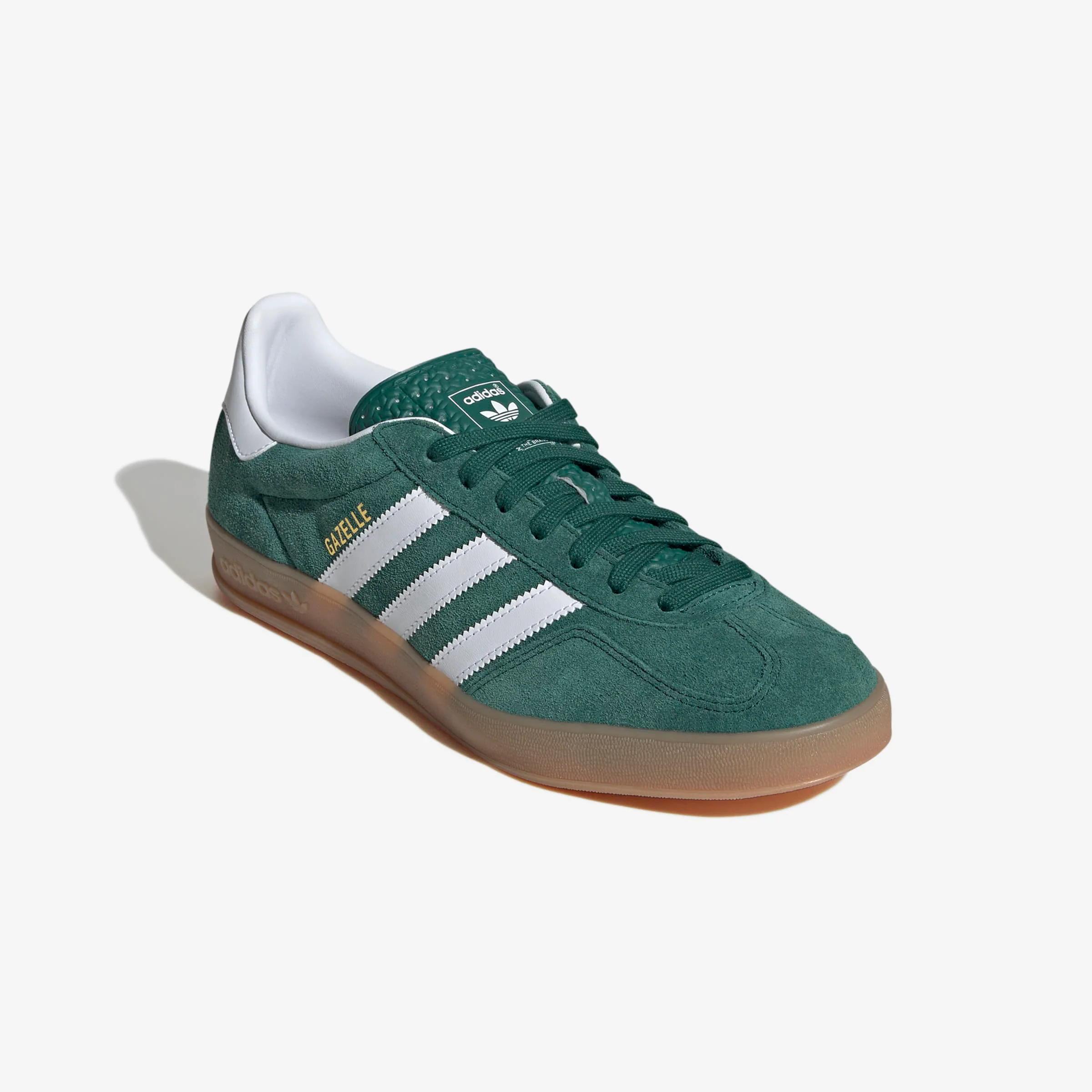 Gazelle Indoor - Image 3