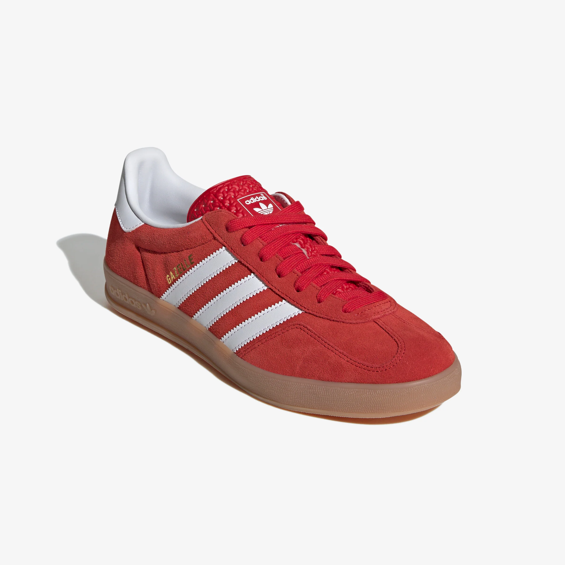 Gazelle Indoor - Image 3