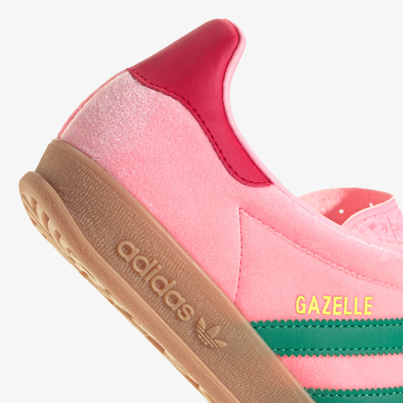 Gazelle Indoor - Image 8