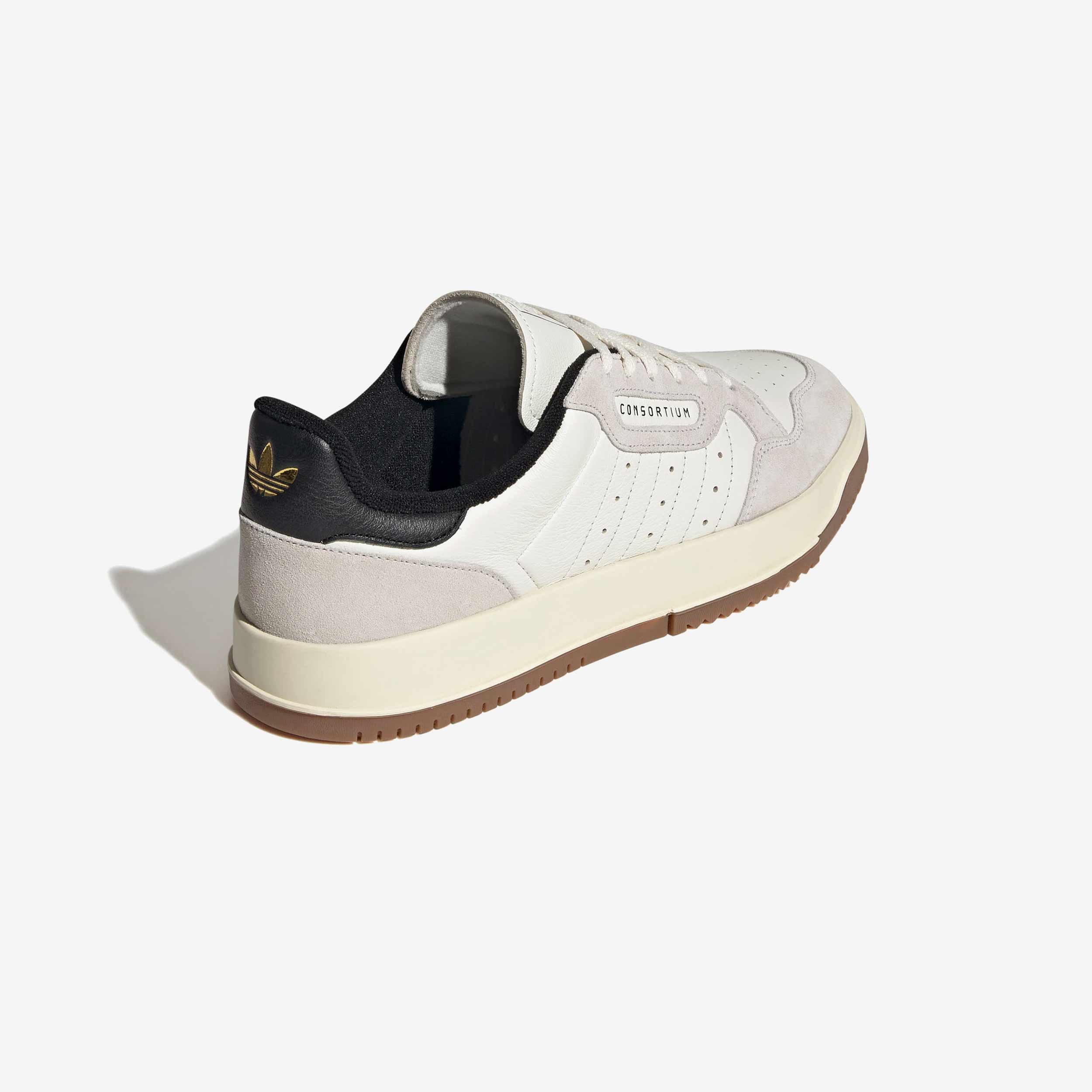 SC Powerphase Consortium - Image 3