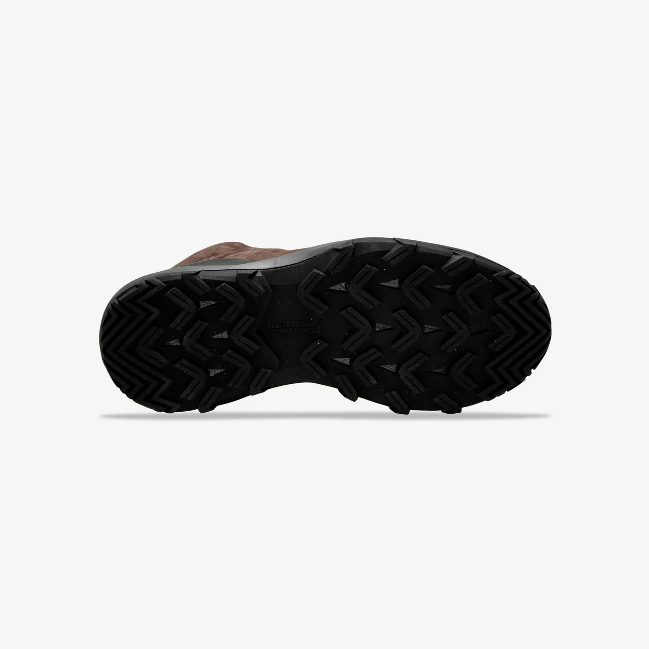 ACG Cygnal - Image 4